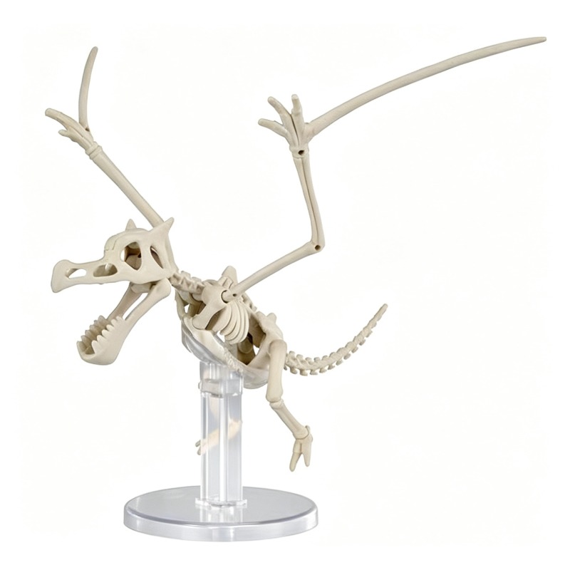 Bandai Pokemon Plastic Model D – Model Kit Kyogre recenzja i cena